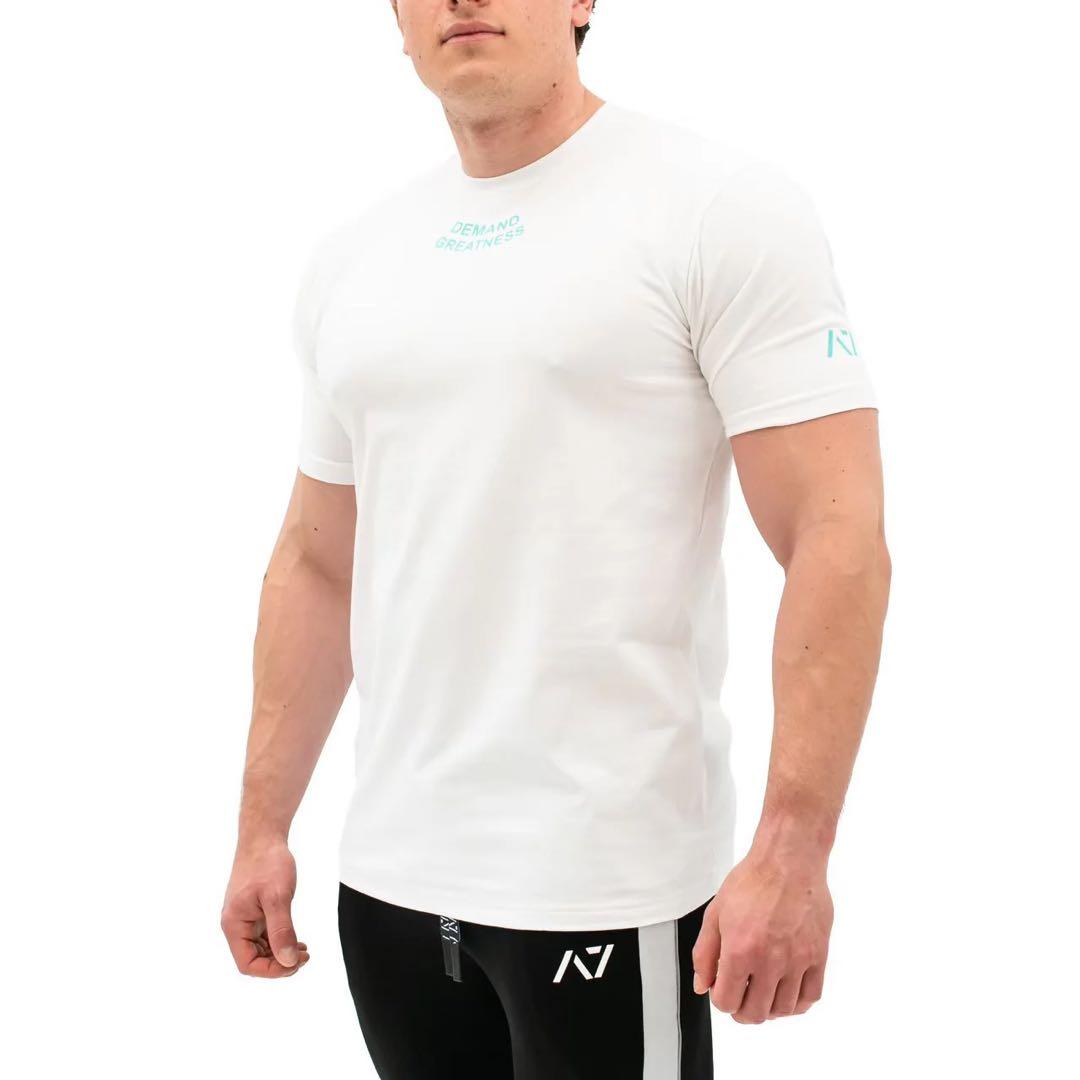 A7 MEETシャツ Lサイズ 『ICED』 MEN’S