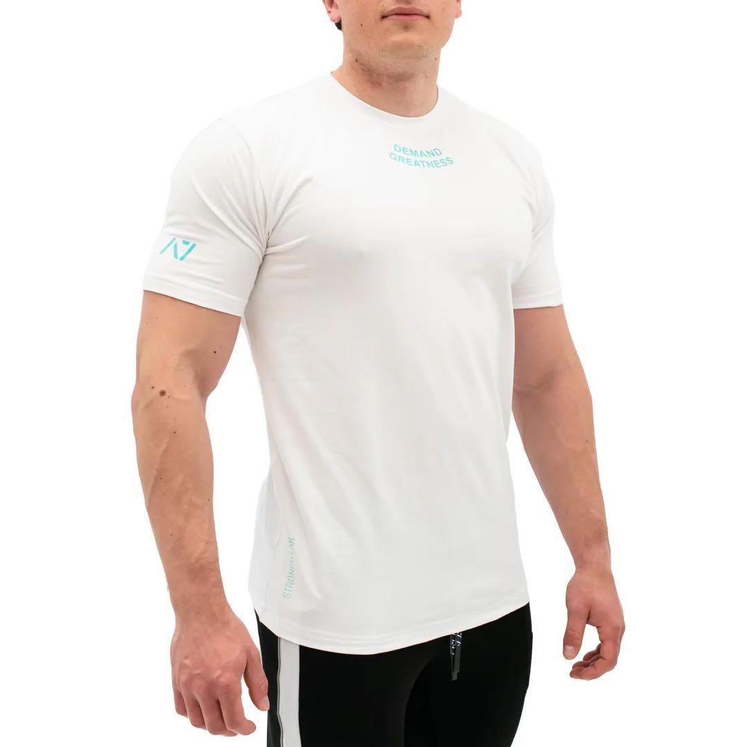A7 MEETシャツ Lサイズ 『ICED』 MEN’S