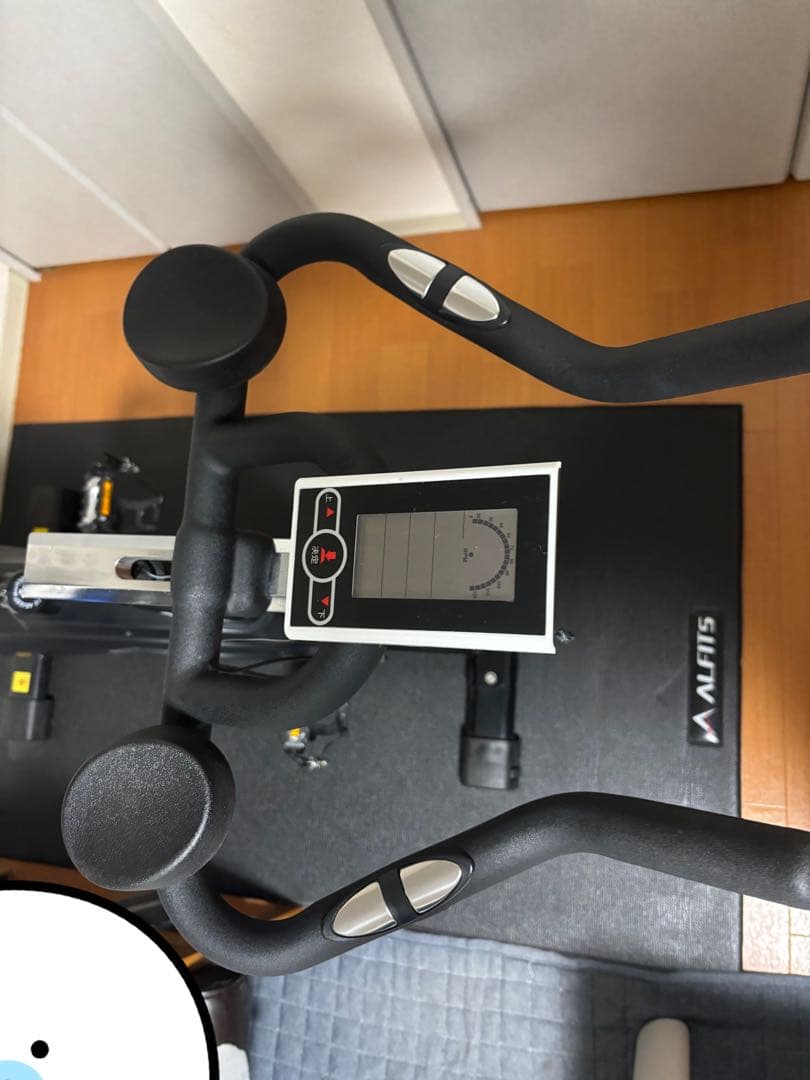 HAIGE ハイガー　ex5 HG-EX-5000 スピンバイク