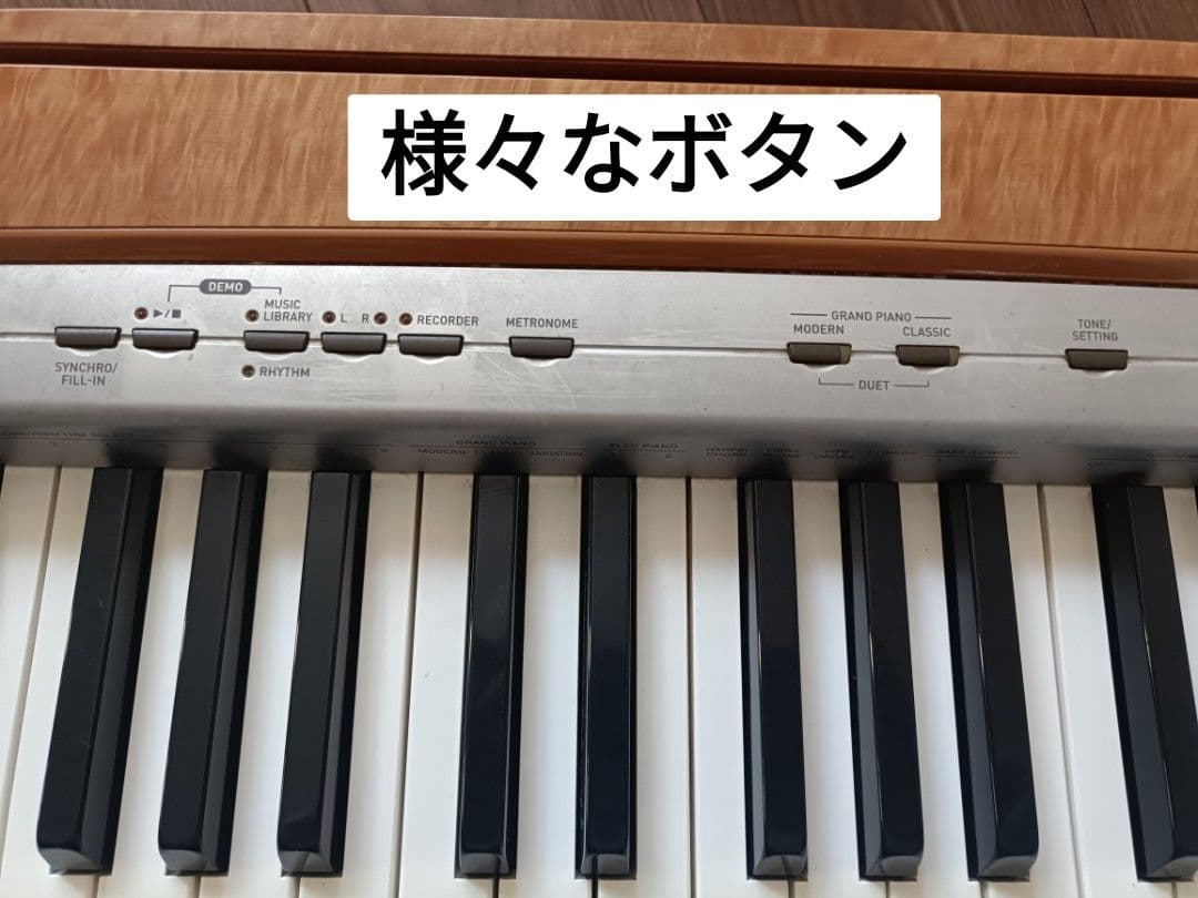 CASIO 電子ピアノ 88鍵盤