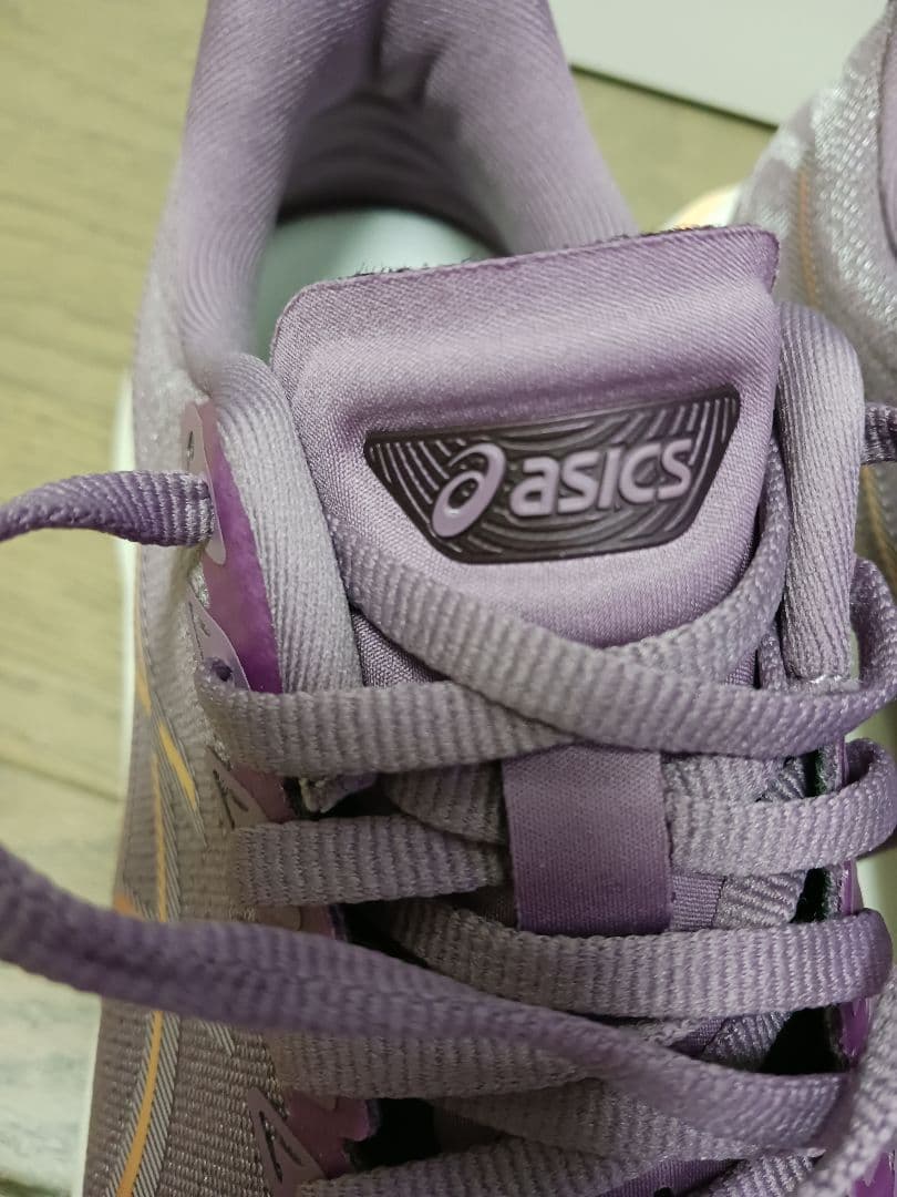 ASICS GT-2000 13 WIDE 25cm ランニングシューズ