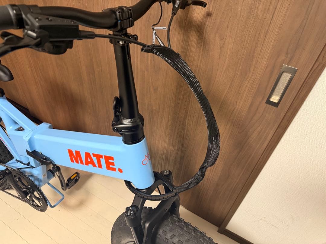 【ほぼ新品】MATE X EVO Ocean Shimmer 車体 本体