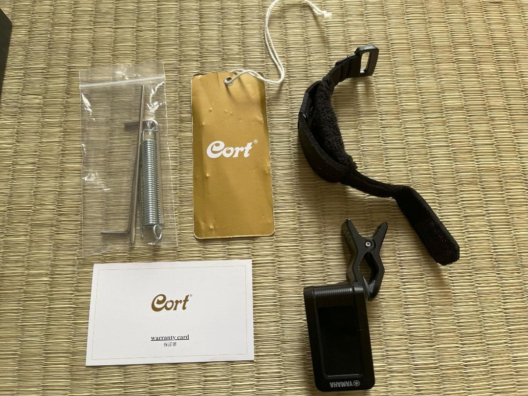 Cort / G300 Proゴールド ハムバッカー搭載・おまけ2点付き特価