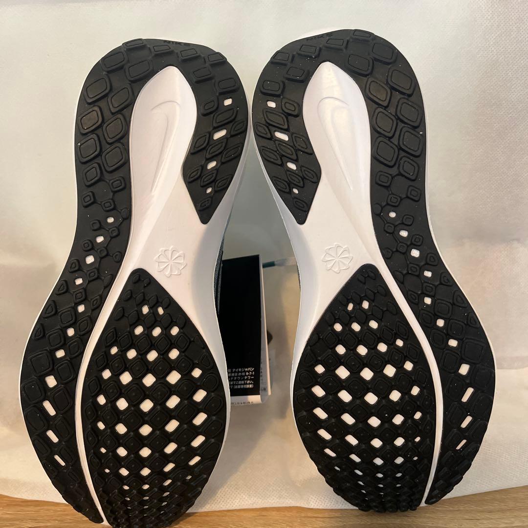 Nike Air Zoom ペガサス41