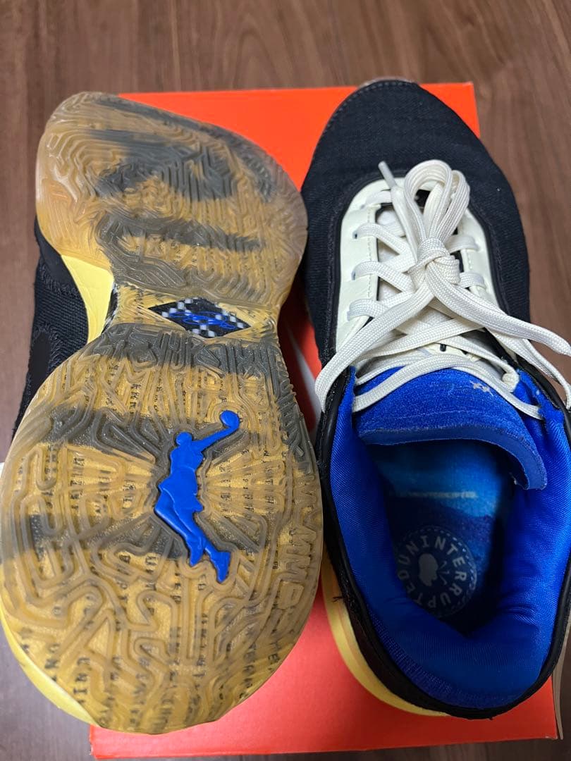 【中古】Nike lebron 20 ep 27cm