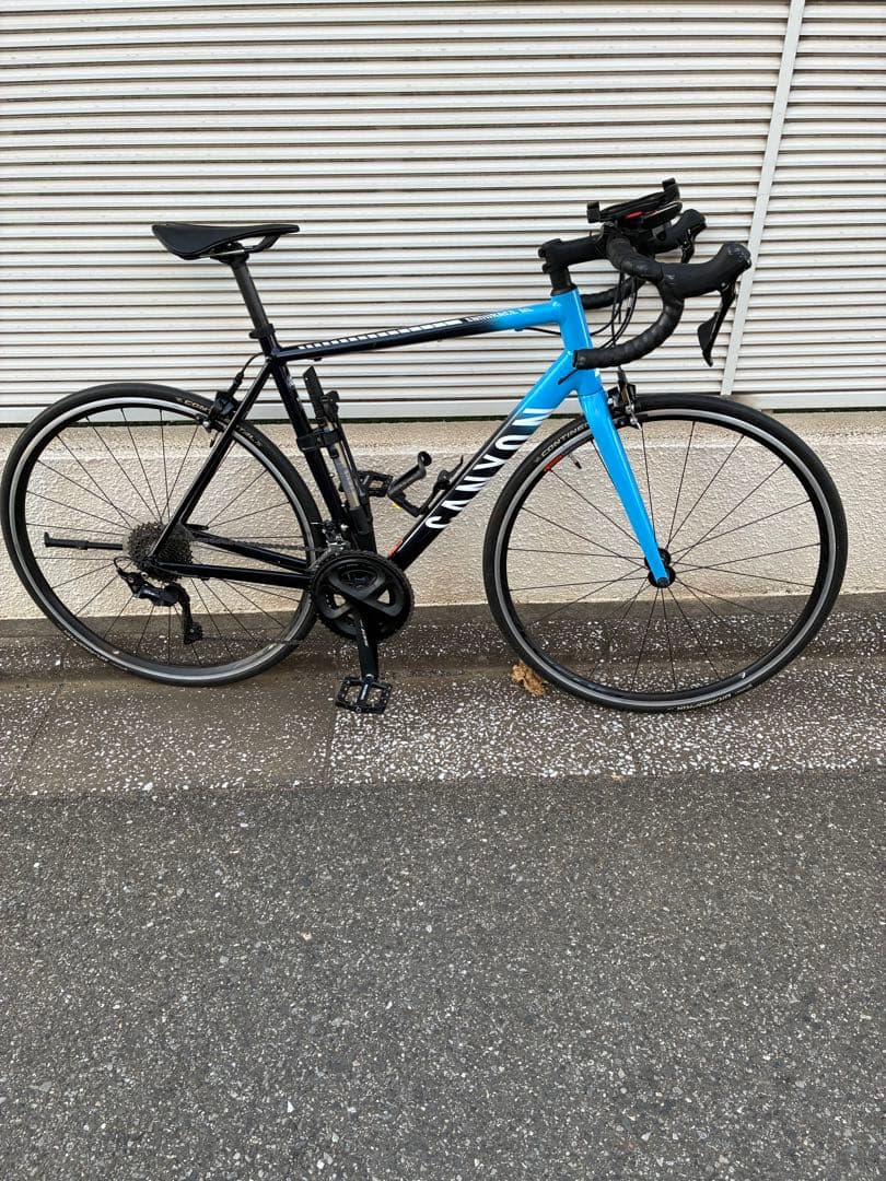 3月限定価格！Canyon endurance ロードバイク フレームセット