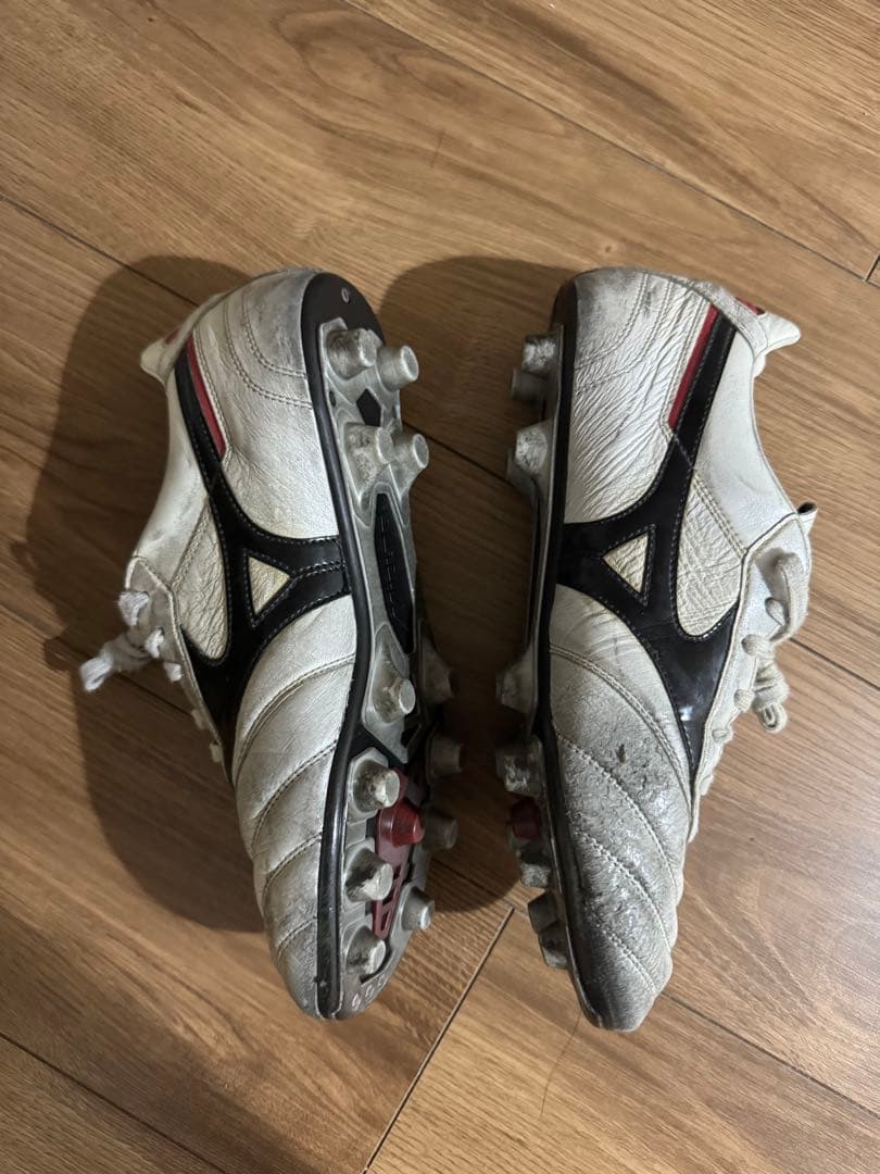 モレリア2JAPAN Mizuno Morelia 26.5
