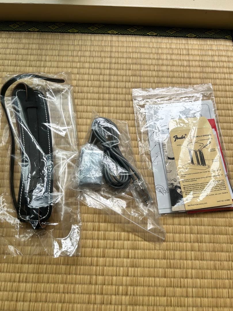Fender Eric Johnson Stratocaster 純正付属品