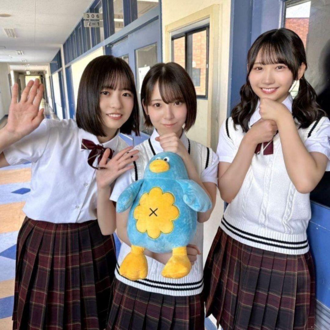 【中サイズ】日向坂46 ポカ ぬいぐるみ 初代 ver