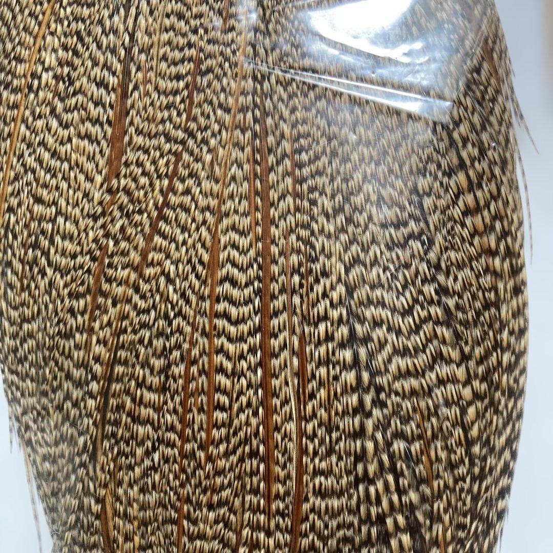 Whiting Bronz Cape Cree希少カラー