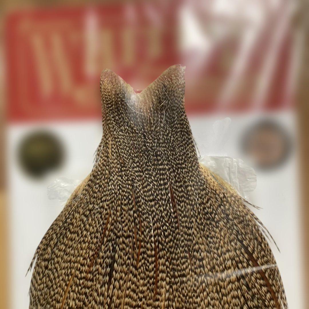 Whiting Bronz Cape Cree希少カラー