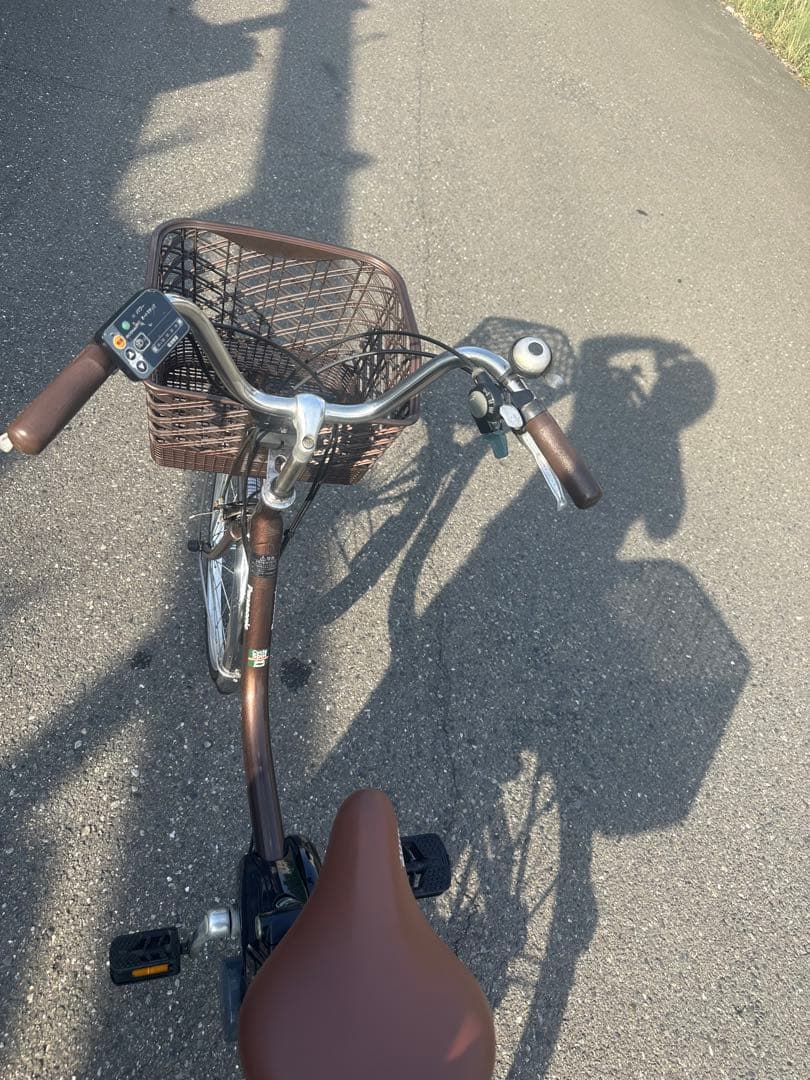 ブラウン 電動アシスト自転車 前後バスケット付き