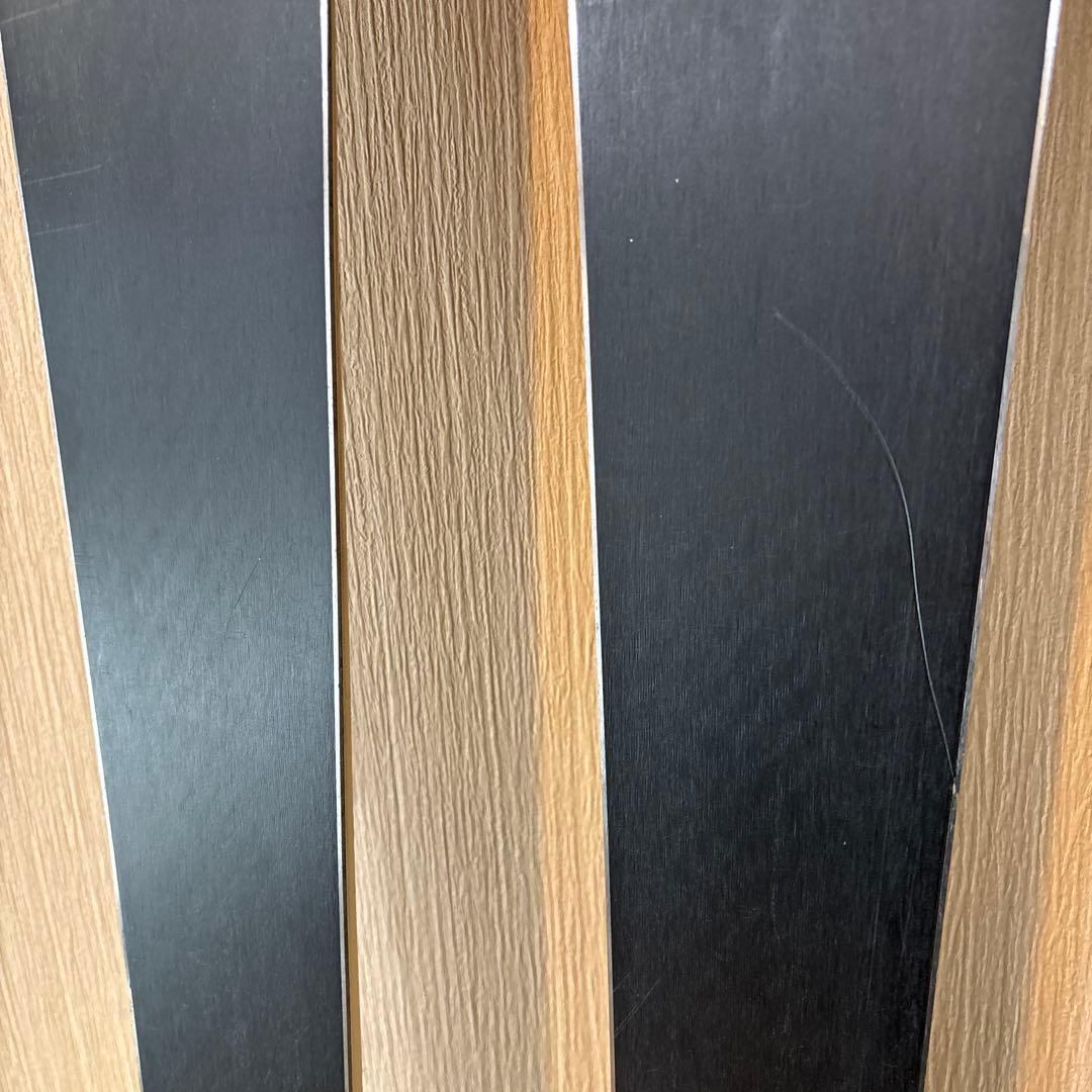 スキー OGASAKA TRIUN S 165cm