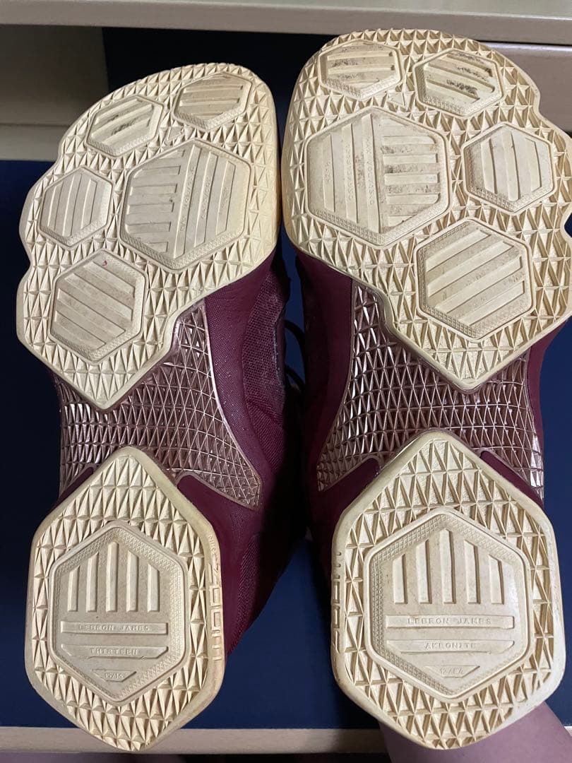 ナイキ レブロン13 ブロンズNike LeBron 13 Bronze