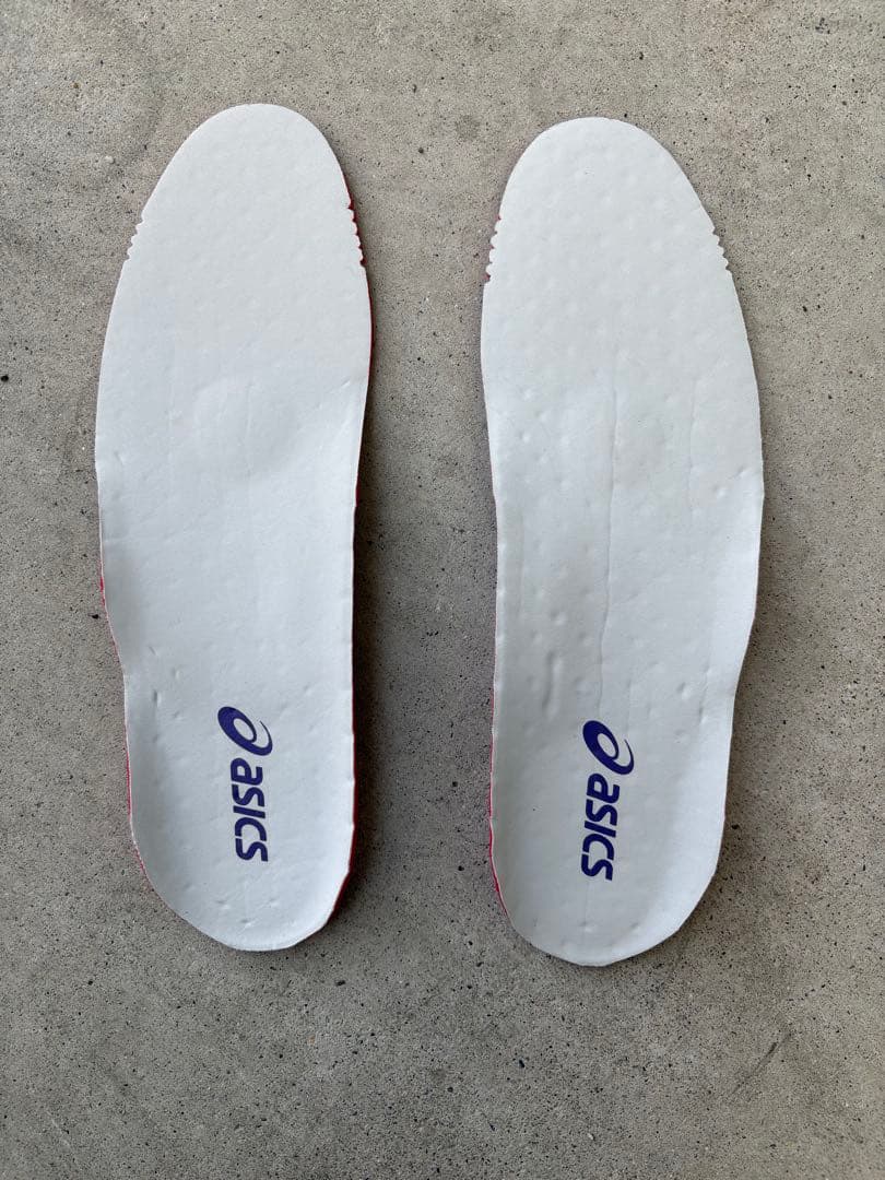 シューズ ASICS DS LIGHT X-FLY 4 PRO 27.0cm