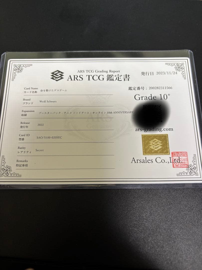 ヴァイス SAO 命を懸けたデスゲーム SEC ARS10