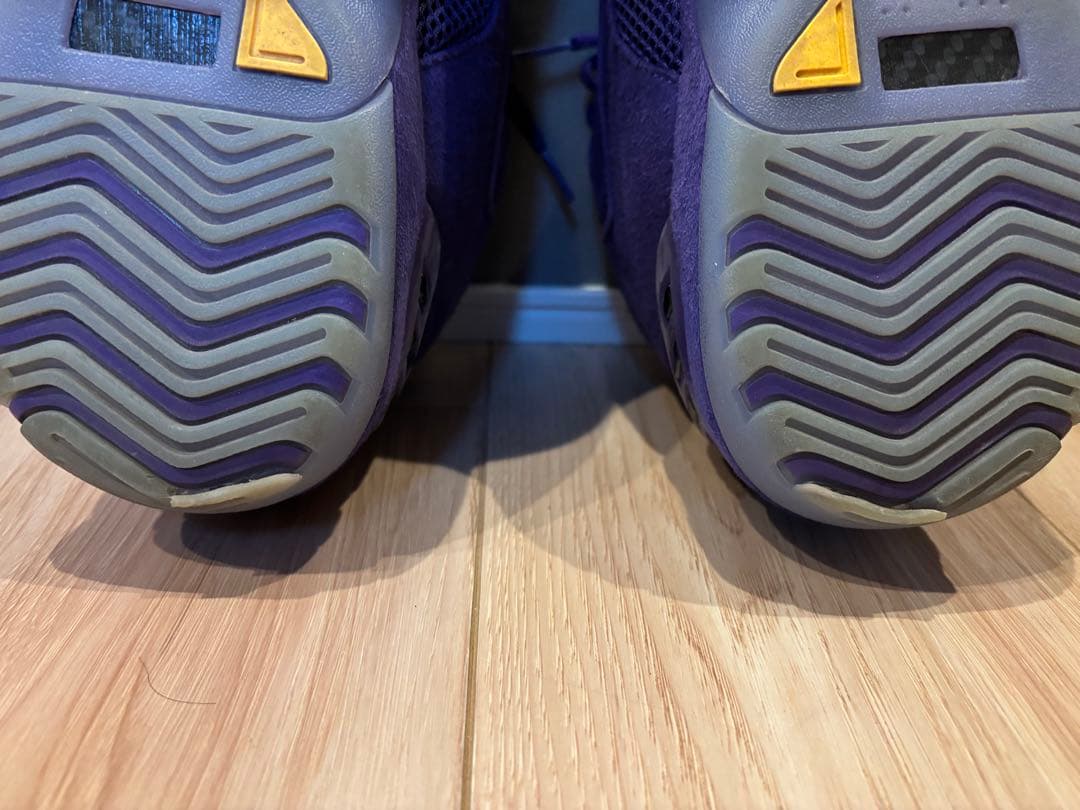 シューズ(男性用) Air Zoom generation lebron 29cm