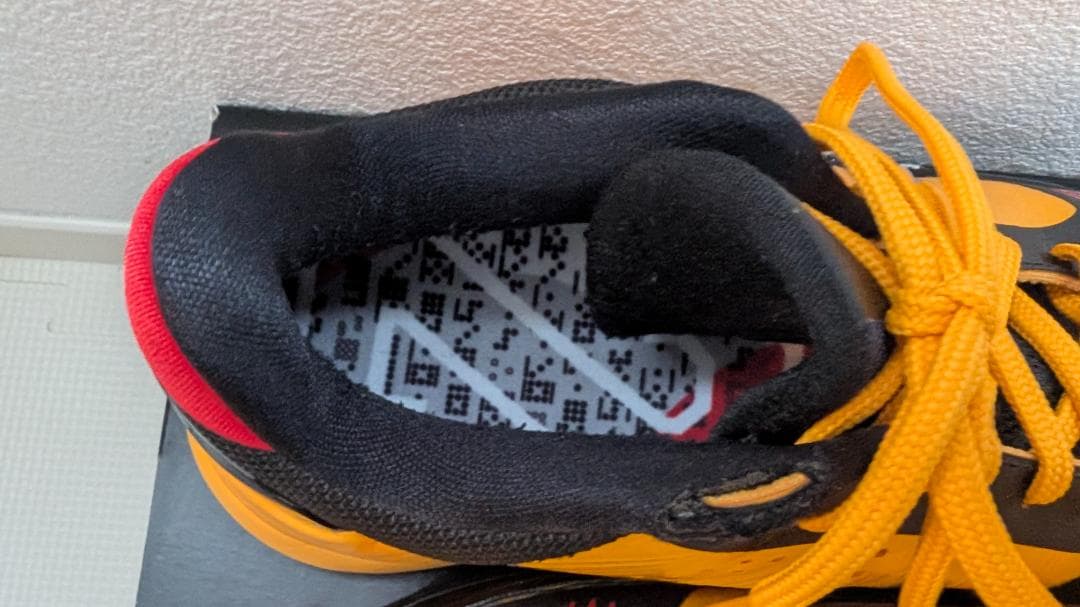 シューズ(男性用) Nike Kobe V Protro Bruce Lee