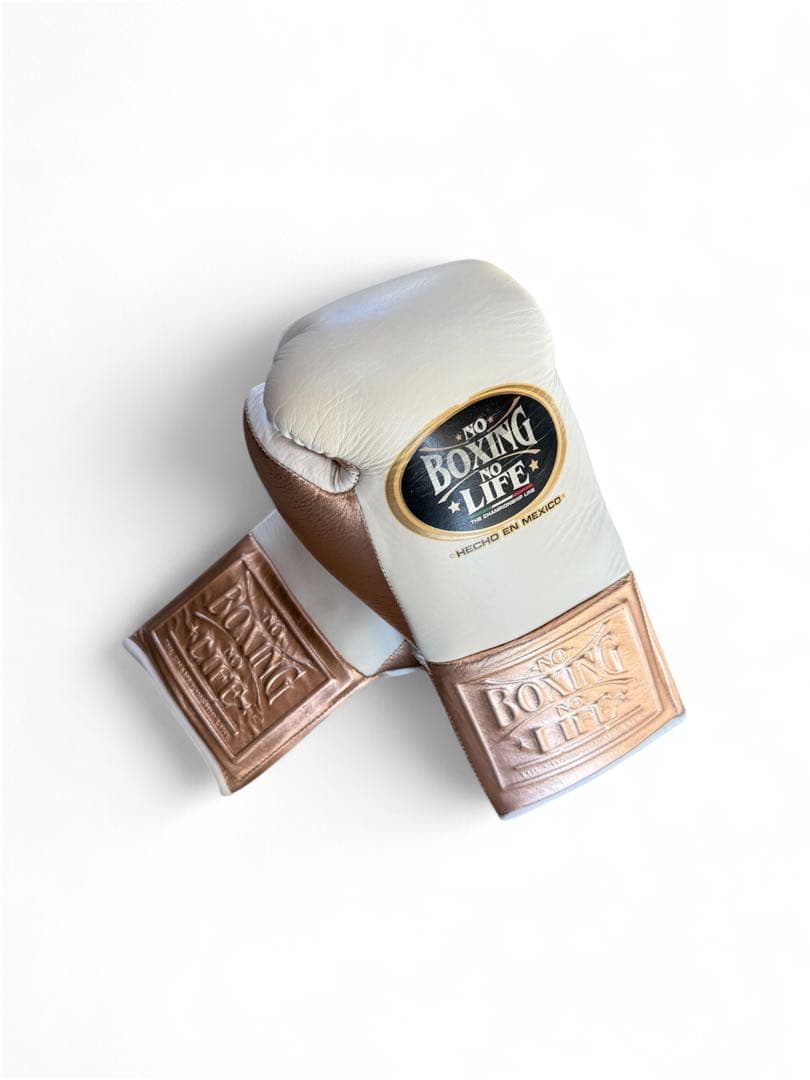 NO BOXING NO LIFE ボクシンググローブ10oz