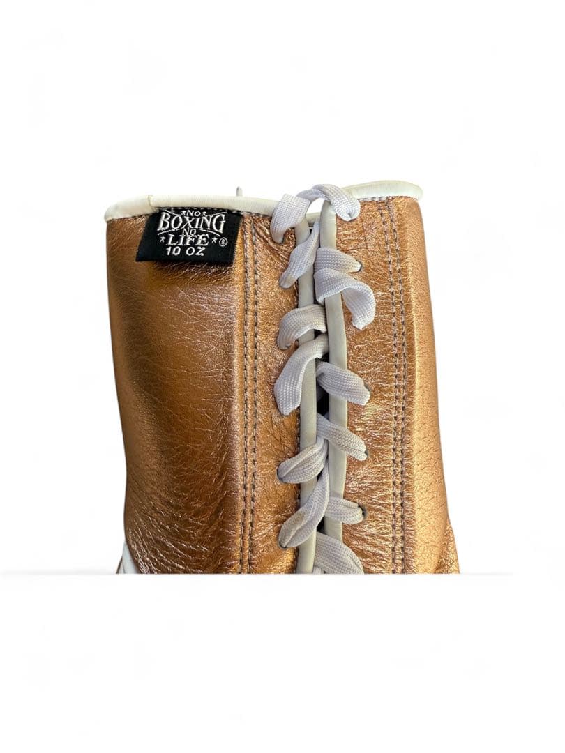 NO BOXING NO LIFE ボクシンググローブ10oz