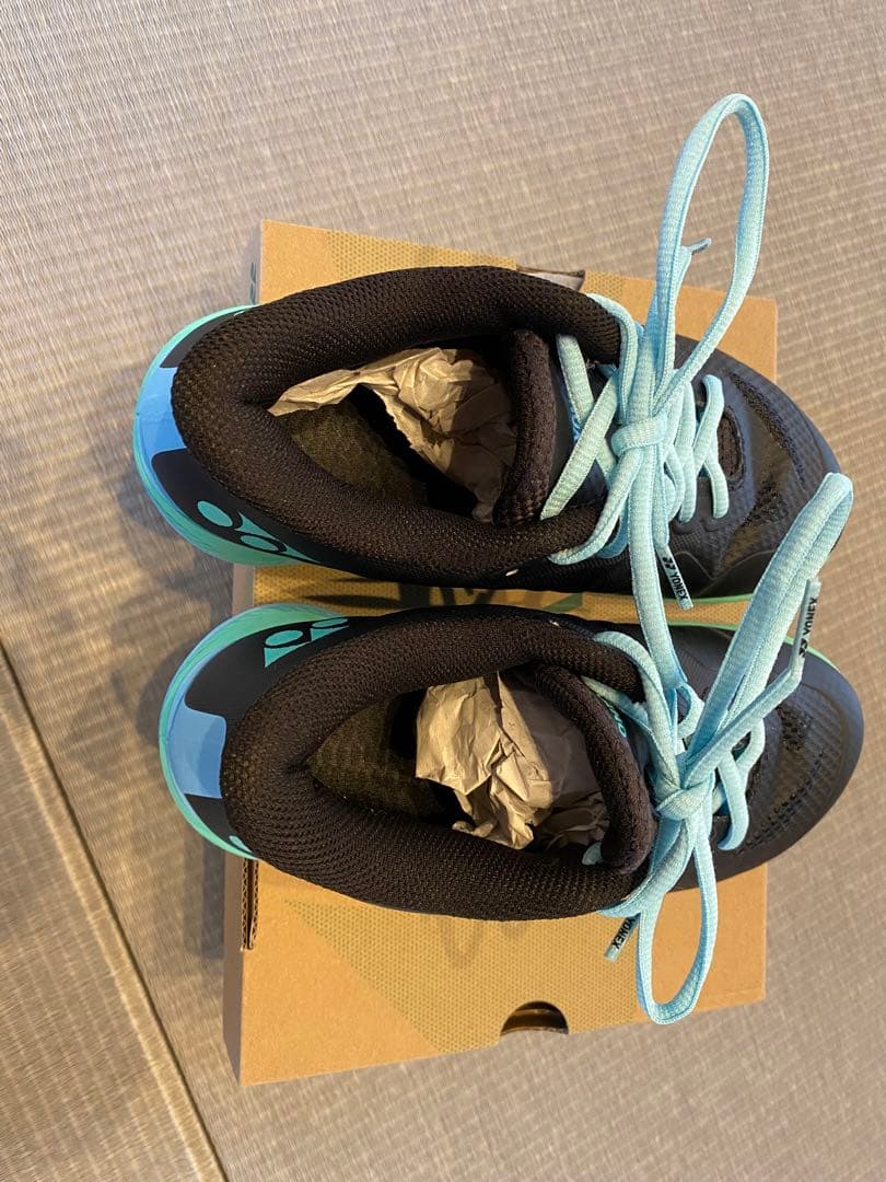 POWER CUSHION COMFORT Z（パワークッション）