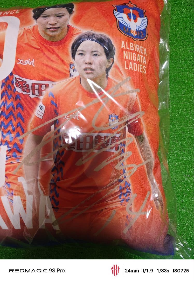 サッカー 北川ひかる クッション アルビレックス新潟