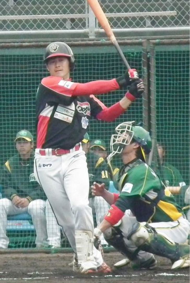 mizuno ミズノ 野球 高知ファイティングドッグス ミズノプロ ユニフォーム