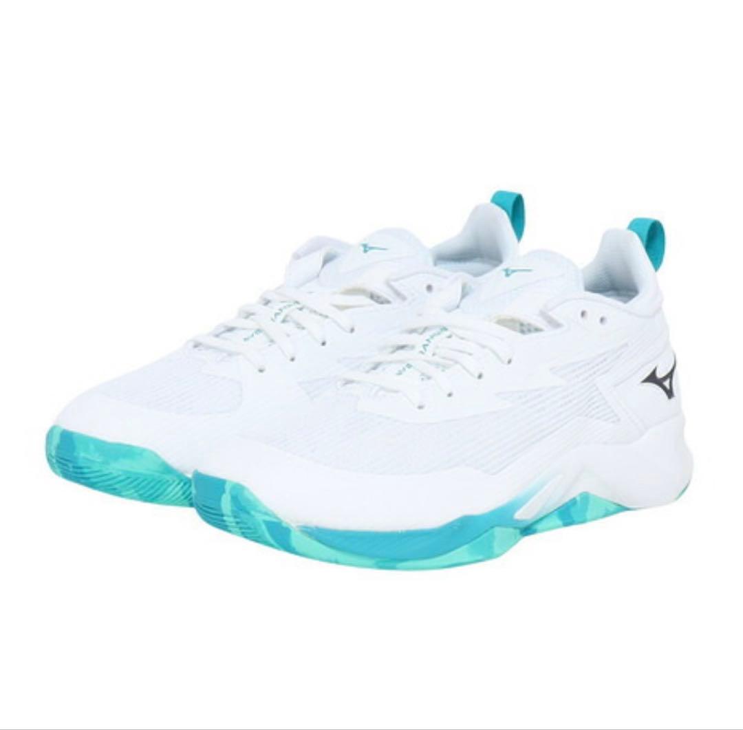 Mizuno ウェーブトランジスタ　26.0cm