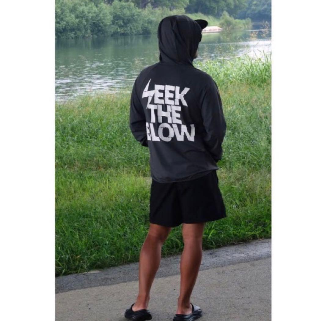 レイドジャパン DRYHOODIE パーカー　Lサイズ　チャコール　金森隆志