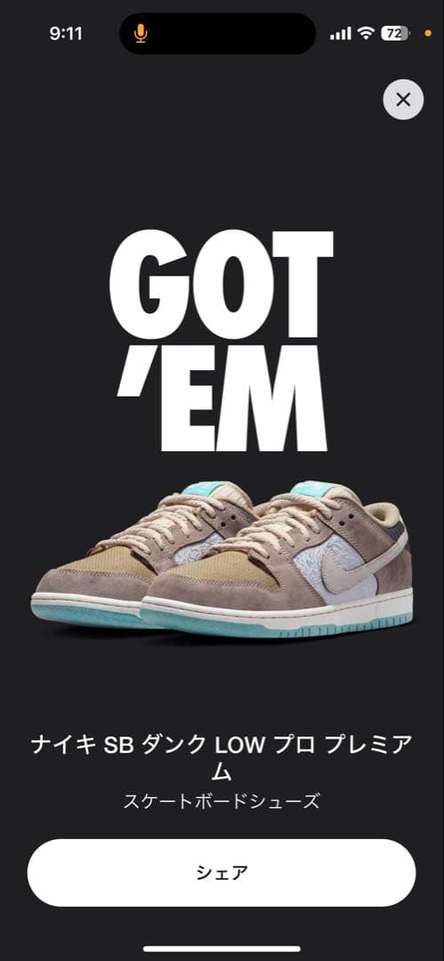 美品！Nike SB Dunk BIG MONEY