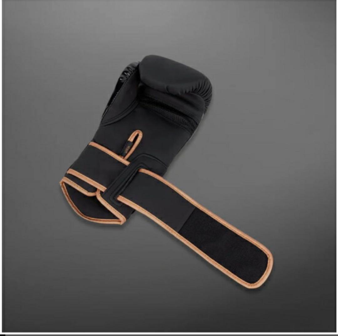 【新品・未使用・未開封品】Venum ヴェナム　ボクシンググローブ 10oz 黒