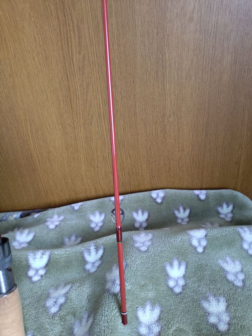 パームスNATIVE ERNS-56L 2ピースです。