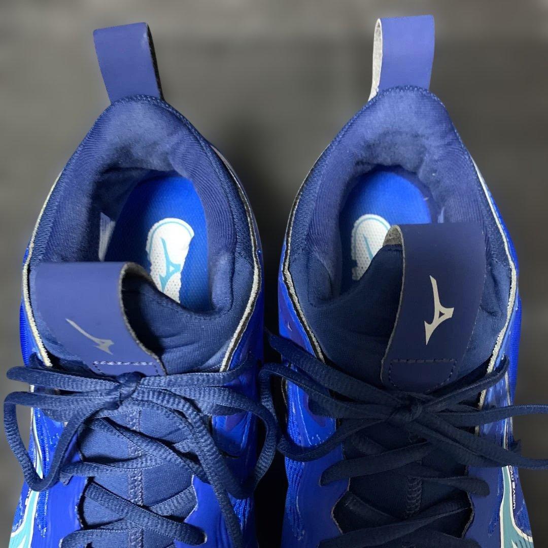 Mizuno Wave Momentum 3 バレーボールシューズ 28センチ