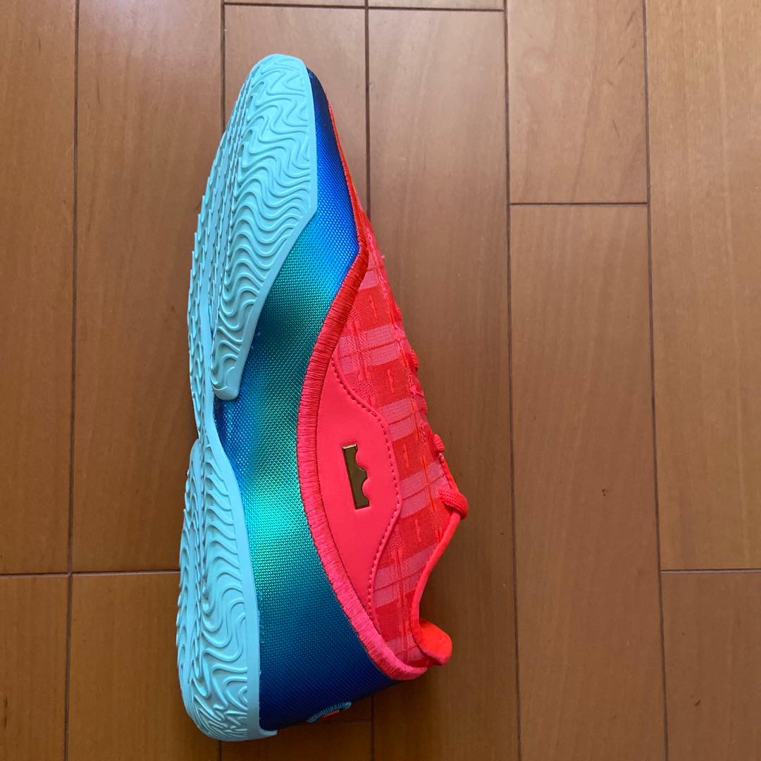 Nike LeBron 23 EP 25cm 箱無し