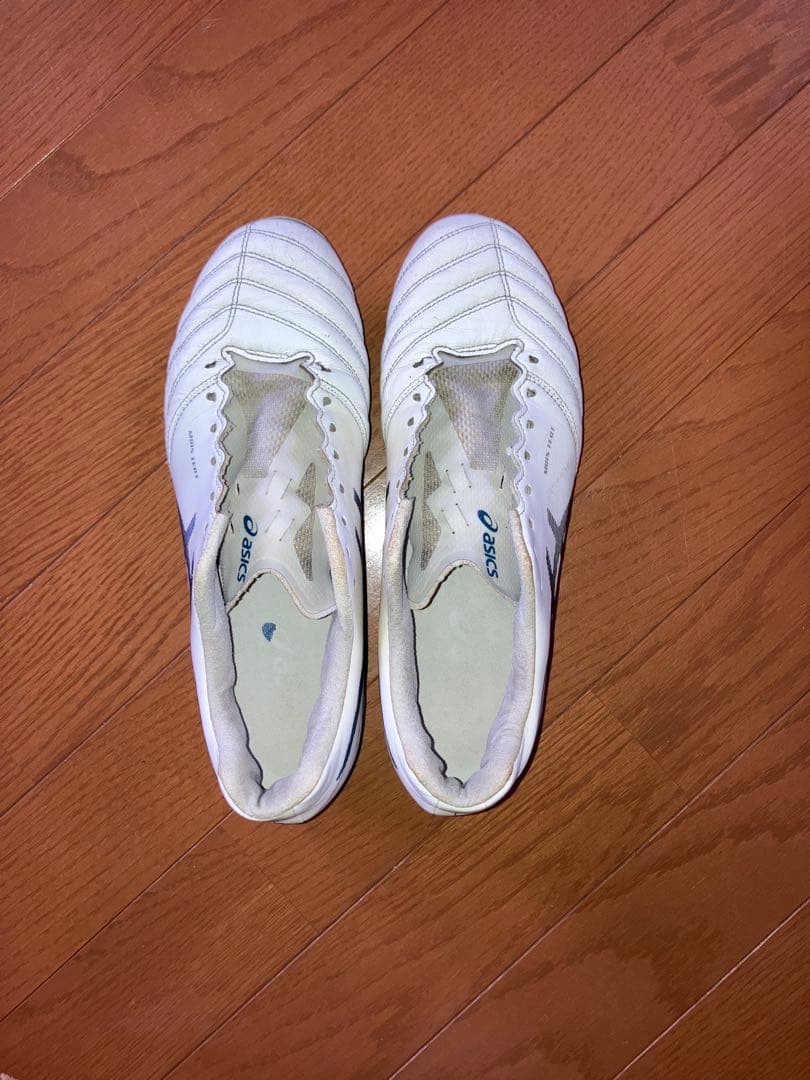 シューズ ASICS DS LIGHT X-FLY PRO 26cm