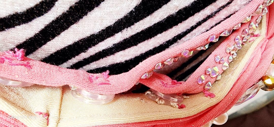 さぁやさま専用 ベリーダンス衣装　バラディドレス