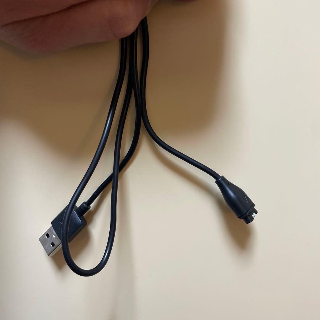 Garmin Approach S60 ゴルフ GPSナビ