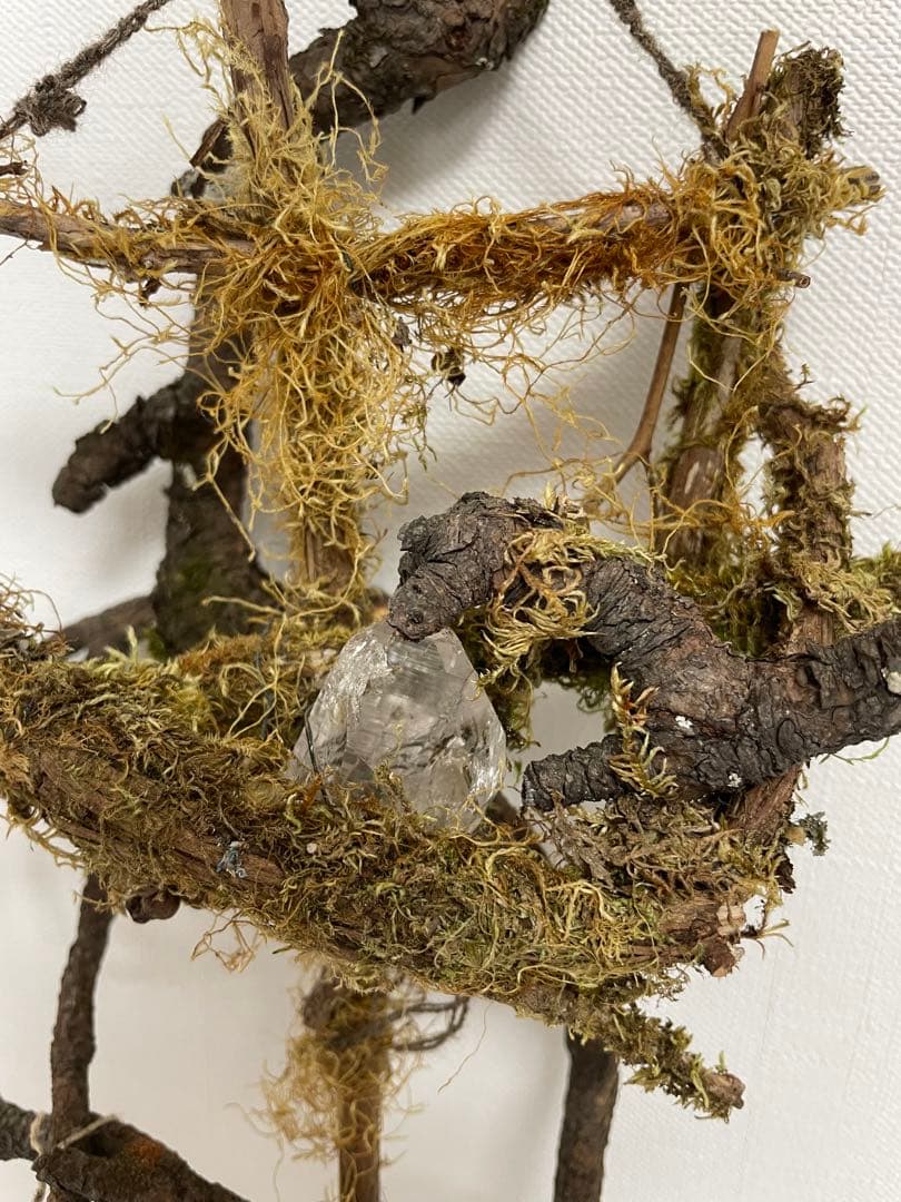 はいいろオオカミ＋花屋西別府商店 壁飾り 植物オブジェ 標本箱
