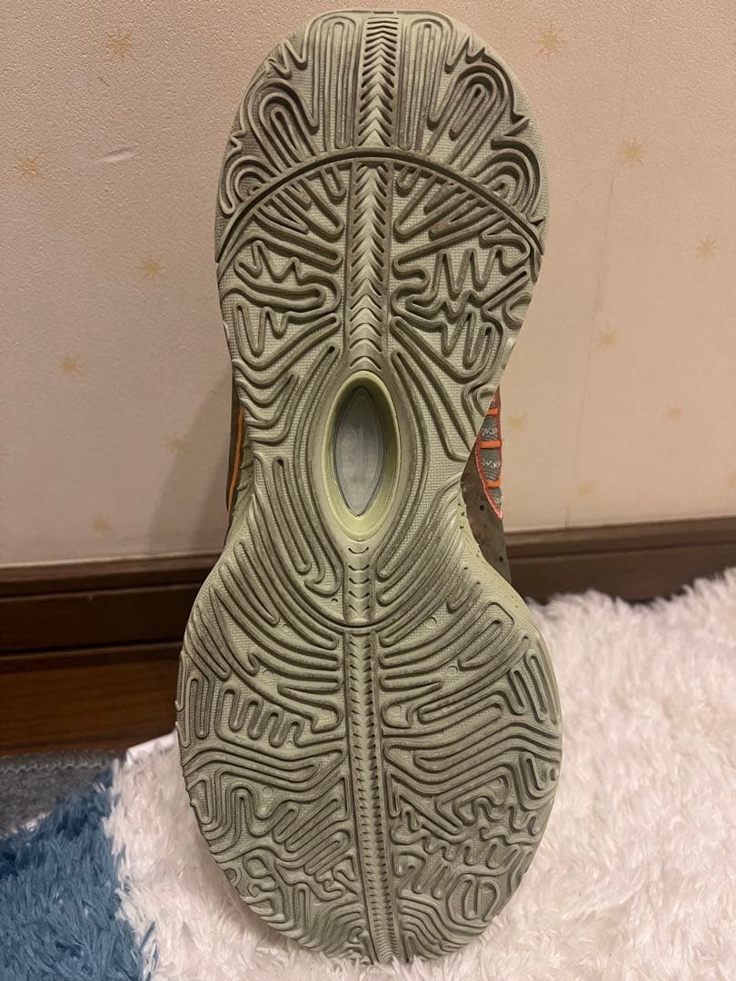 レブロン21/28cm
