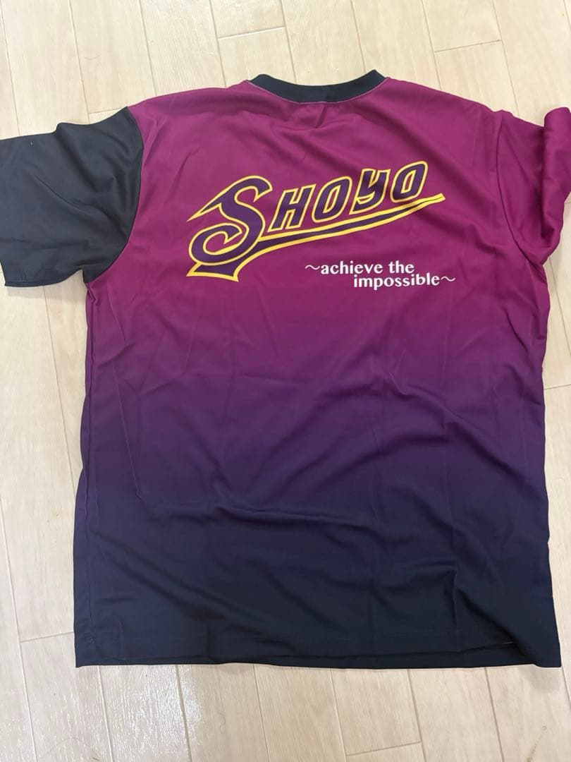 昇陽高校バレーボール部チームTシャツ
