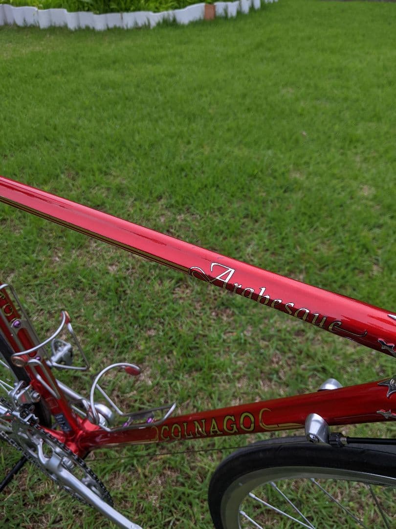 お洒落 限定20本 Colnago Arabesque コルナゴ アラベスク
