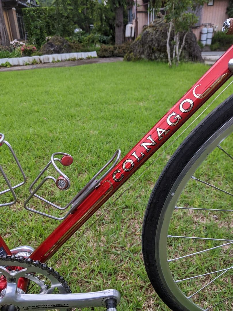 お洒落 限定20本 Colnago Arabesque コルナゴ アラベスク