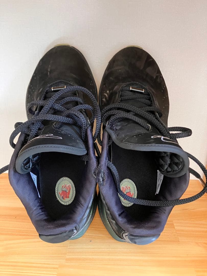 NIKE レブロン 21 LeBron xxi