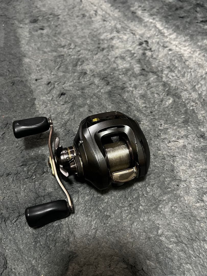 リール DAIWA STEEZ 100HL
