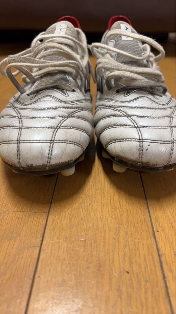 サッカー好きさん専用モレリアネオIV β