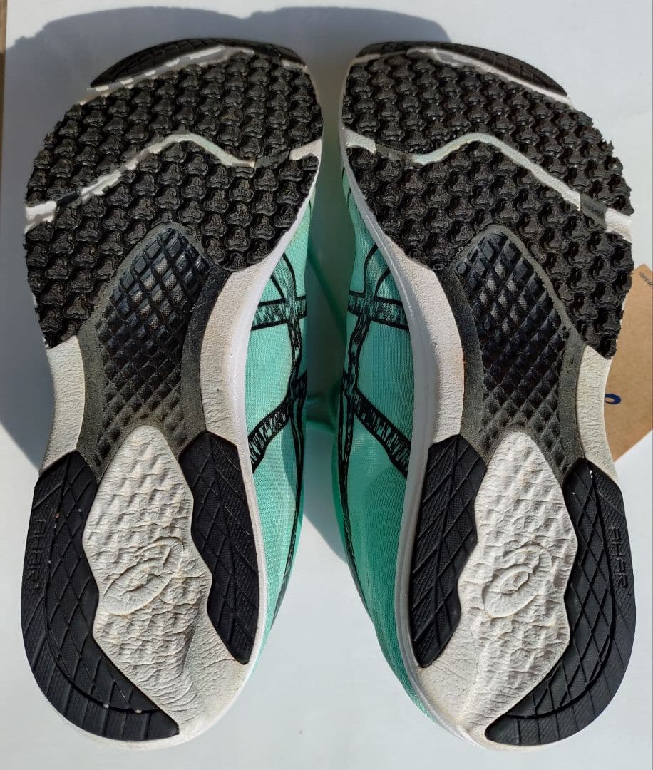 ASICS ソーティマジックRP6/NIKEペガサスターボネクストネイチャー