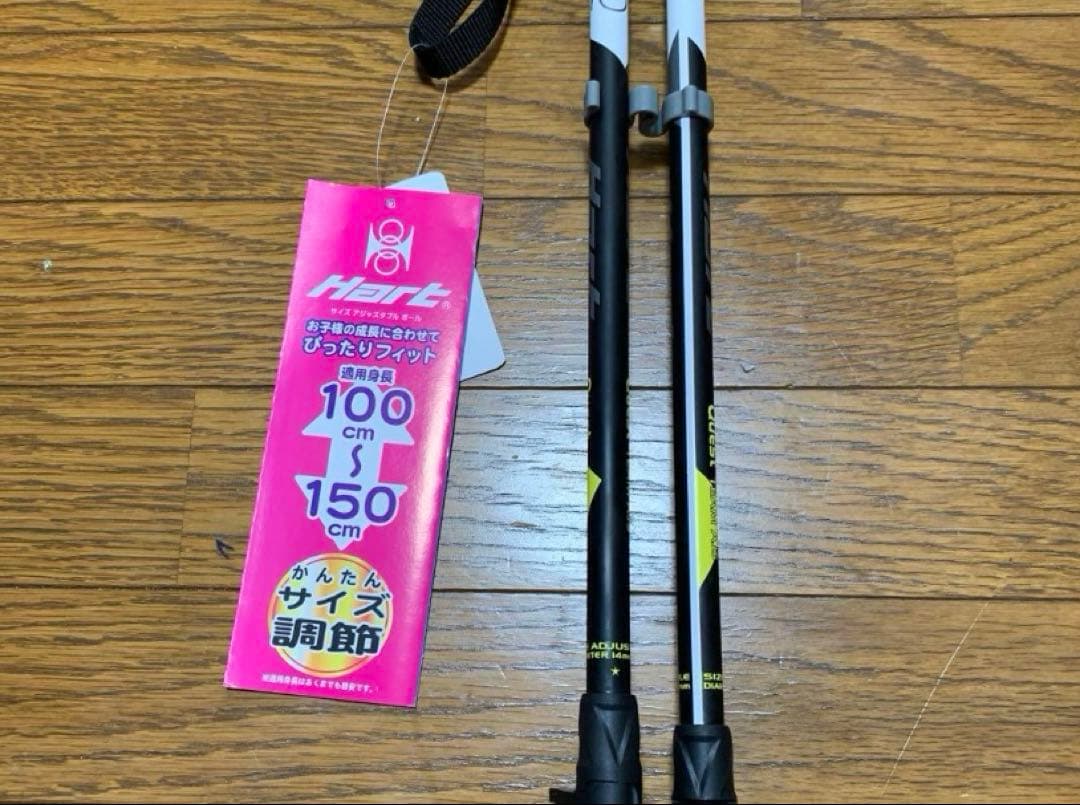 新品　K2 Luv Bug スキー 紫　ストック付き