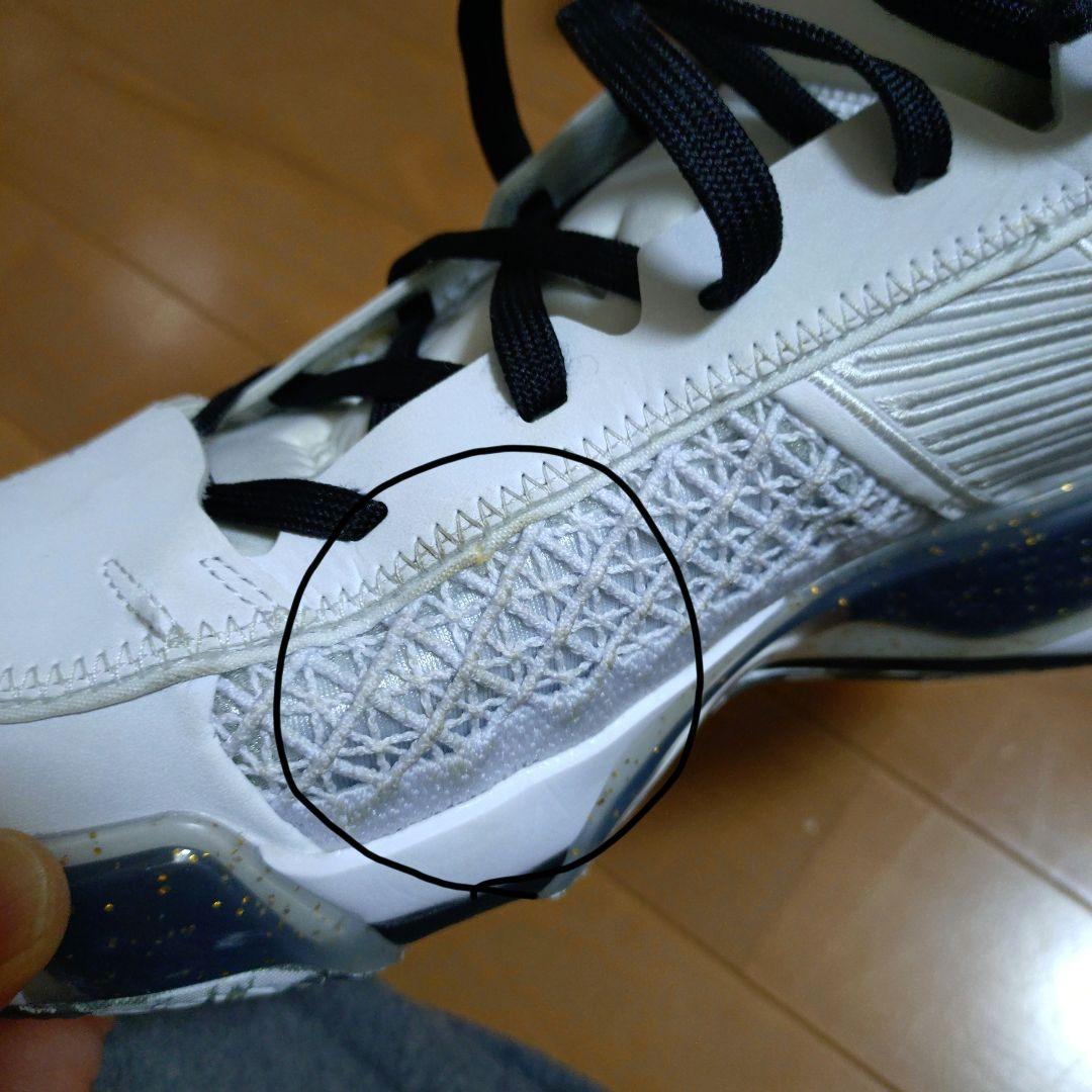 エアジョーダン　38 low