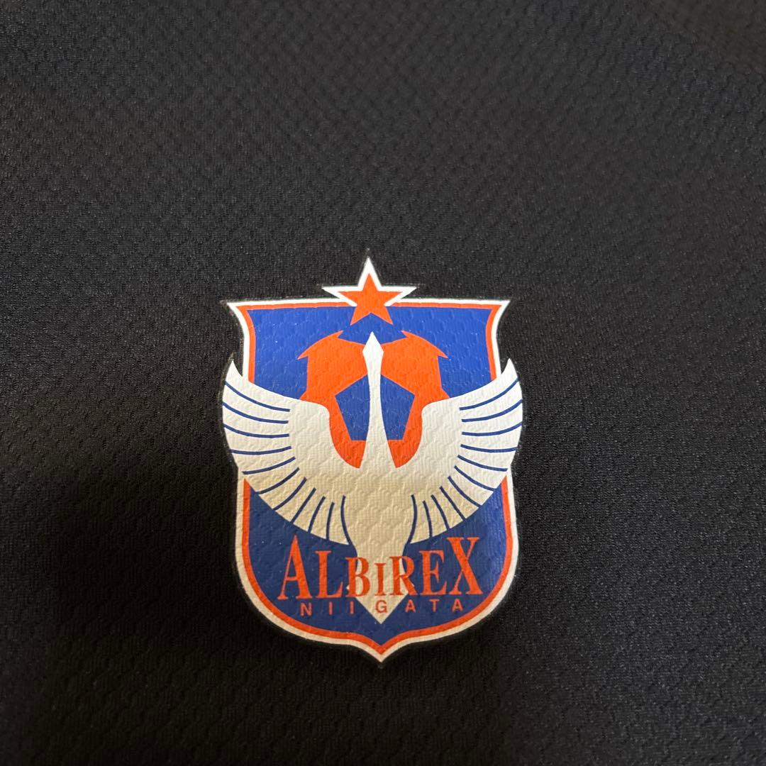 アルビレックス新潟