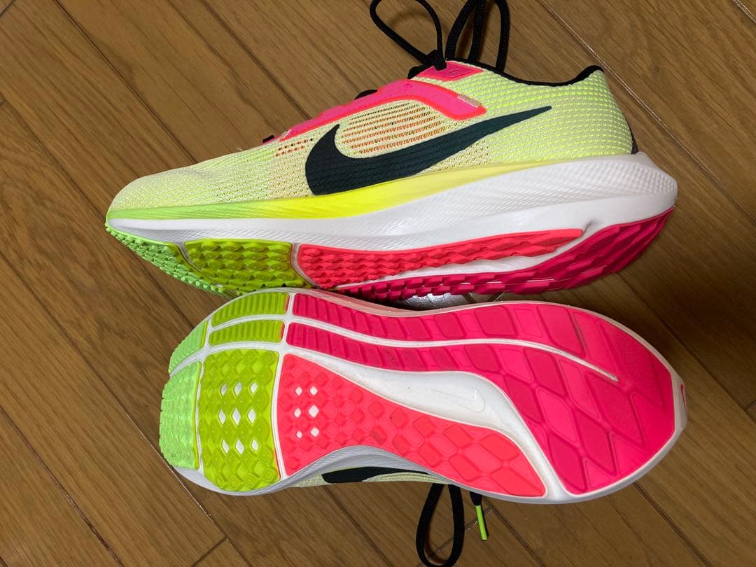 【室内のみの使用】Nike Air Zoom Pegasus 40 25.5cm